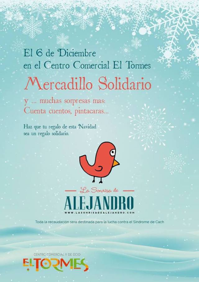 Mercadillo Solidario La Sonrisa de Alejandro