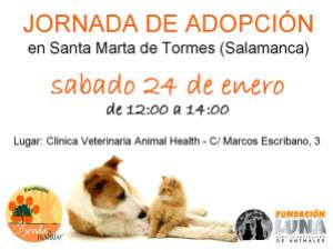 Jornada de adopción en Santa Marta el 24 de enero